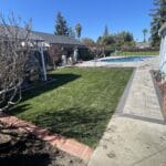 Backyard Remodeling