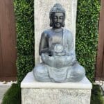 Backyard Remodeling
