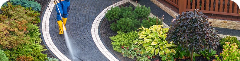 Person power washing a curved walkway flanked by colorful bushes on both sides